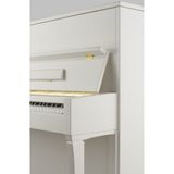 Đàn Piano Upright Petrof P 122 N2 