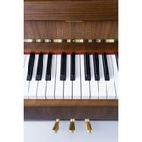  Đàn Piano Upright Petrof P 118 P1 