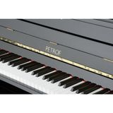  Đàn Piano Upright Petrof P 125 K1 