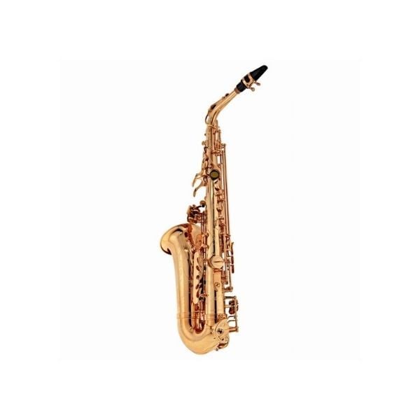  Kèn Saxophone Alto Buffet Crampon BC8401-1-0 