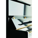  Đàn Piano Upright Petrof P 125 M1 