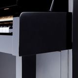  Đàn Piano Upright Petrof P 118 M1 