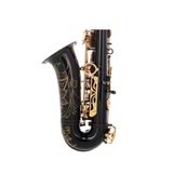  Kèn Saxophone Alto Yamaha YAS-875EXB 