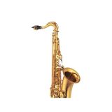  Kèn Saxophone Tenor Yamaha YTS-875EX 