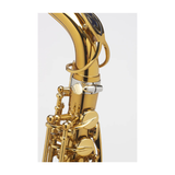  Kèn Saxophone Alto Supreme Verni 