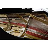  Đàn Piano Grand ANT Petrof 225 