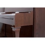  Đàn Piano Upright P 118 D1 Demichippendale 