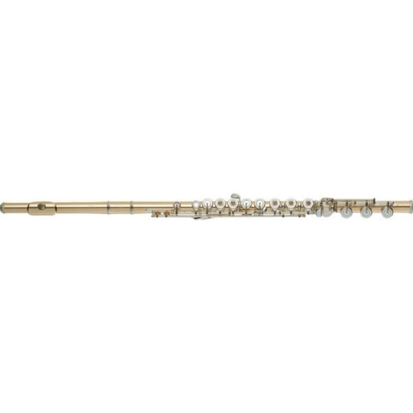  Sáo Flute Powell Conservatory 9K Aurumite DT RBE 