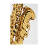  Kèn Saxophone Alto Supreme Verni 