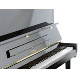  Upright Piano Petrof P 125 K1 
