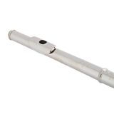  Sáo Flute Powell Signature all Silver RBE C# trill 