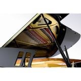  Đàn Piano Grand ANT Petrof 275 