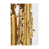  Kèn Saxophone Alto Selmer Supreme Verni 