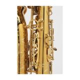  Kèn Saxophone Alto Supreme Verni 