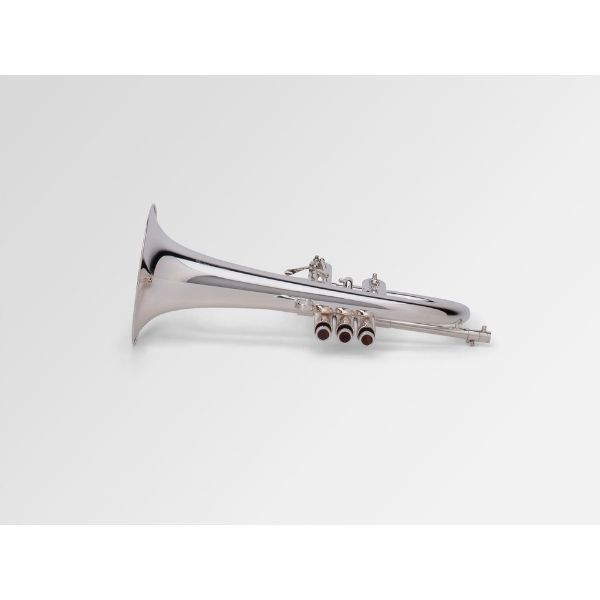  Kèn Flugelhorn Adams F3 