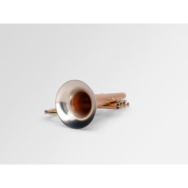  Adams Flugelhorn F1 (Satin Lacquered, Included case Adams) 