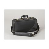  Kèn Saxophone Soprano Yanagisawa SC -WO10, Elimona, double Curved, Gold 