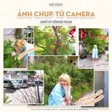  [Tặng thẻ nhớ] Máy Chụp Hình Digital MX10 UltraHD - Chụp giả lập màu phim 64MP, quay video 4K, màn hình lật, tích hợp Wi-Fi by MèoBer 