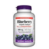 Viên Uống Chống Lão Hóa Blueberry 500mg (Chai 120 Viên)