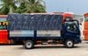 OLLIN 490-MUI BẠT-2.15 TẤN