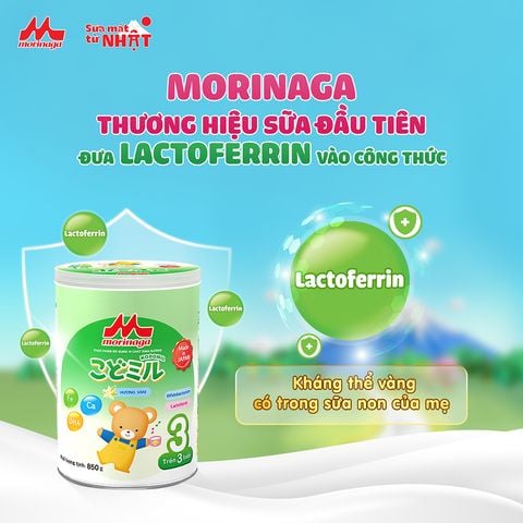 Sữa Morinaga NHẬP KHẨU Nhật Số 1, 2, 3 850g, 320g - Sữa Bột Công Thức