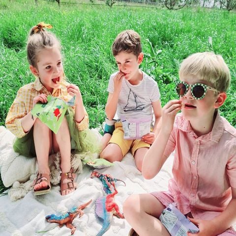 NaturKidz Trái Cây Sấy Lạnh Ăn Dặm Cho Bé 1Y+ New Zealand - Túi 10g