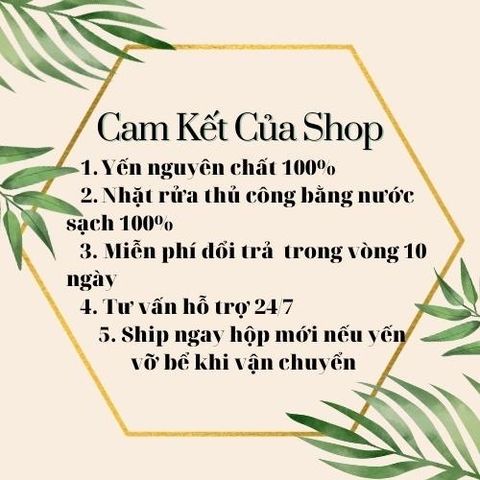 Yến Sào Vụn Đắp Chân Đã Làm Sạch Tặng Kèm Đồ Chưng, Tổ Yến Tinh Chế Nguyên Chất - Yến Sào Nha Trang