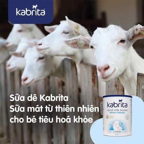Sữa Dê Kabrita Hà Lan Số 1,2,3 - Sữa Bột Công Thức 800g
