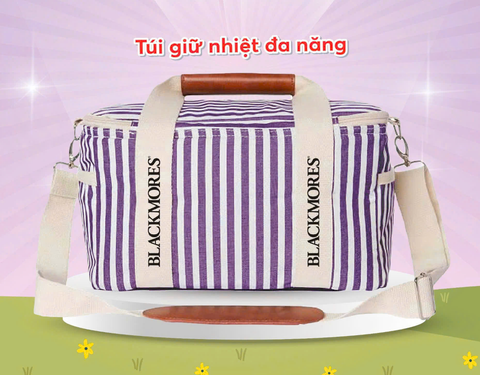 [ QT BLM 6 ] Túi giữ nhiệt đa năng
