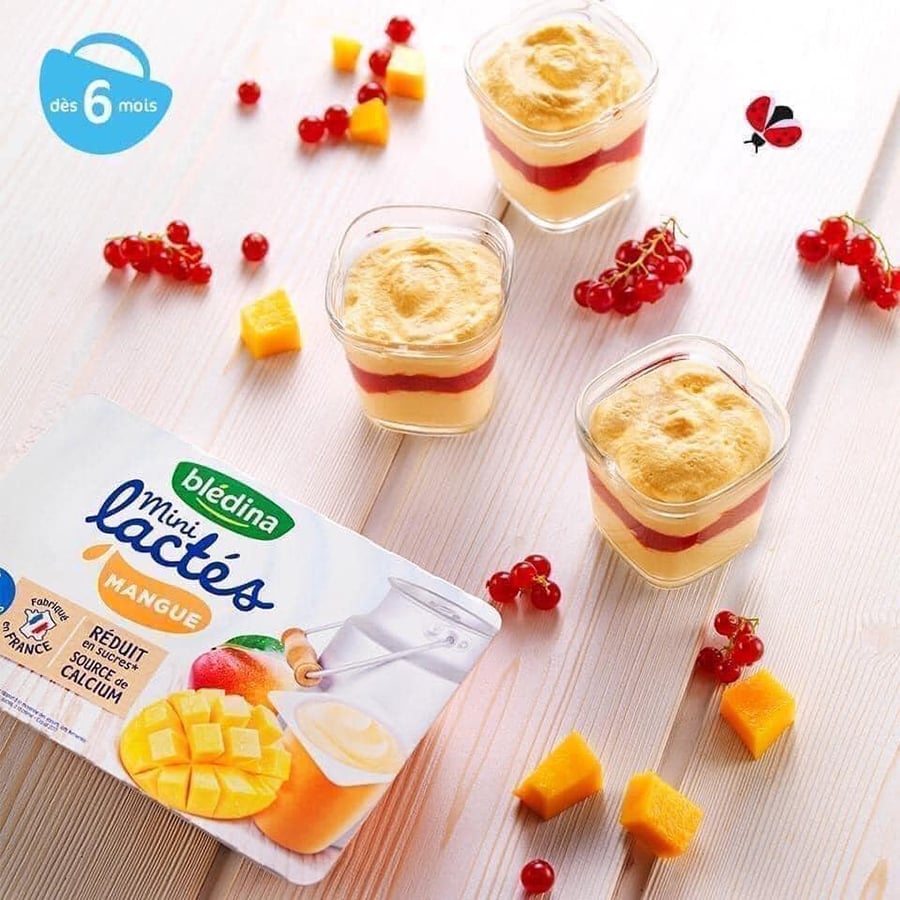 Sữa Chua Nguội Bledina Pháp Ăn Dặm Cho Bé 6M+ Đủ Vị - Lốc 6 Hộp x 55g