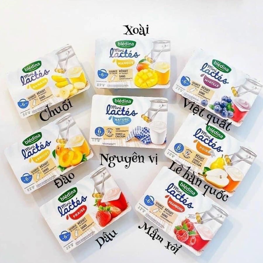 Sữa Chua Nguội Bledina Pháp Ăn Dặm Cho Bé 6M+ Đủ Vị - Lốc 6 Hộp x 55g