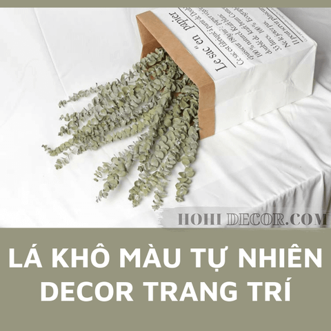 Cành Bạch Đàn (Khuynh Diệp) Khô - (60-70cm) Màu Tự Nhiên