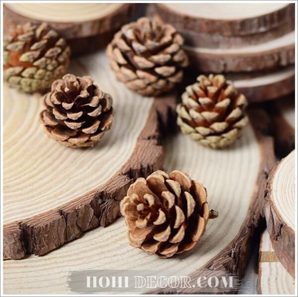 Quả Thông Đủ Size Trang Trí Chụp Ảnh