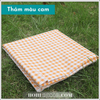 Thảm Picnic, Khăn Trải Bàn - Nhiều Màu - 1x1.5m/ 1.5x2m (BG-08)