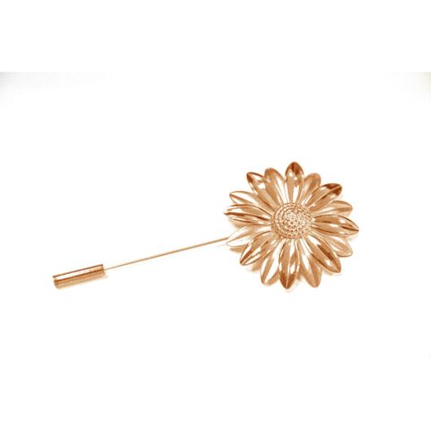 Họa Mi kim cúc SBJ