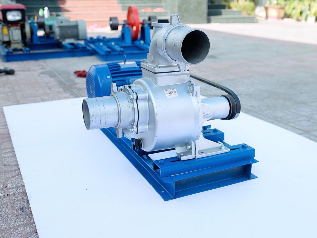 Nền Đơn Đa Năng FX