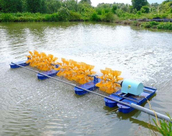 Bộ Quạt 12 Cánh 6 Phao - Tạo Dòng Chảy Mạnh Mẽ Ổn Định