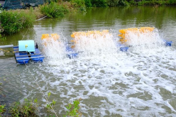Bộ Quạt 14 Cánh 6 Phao - Tạo Dòng Chảy Mạnh Mẽ Ổn Định