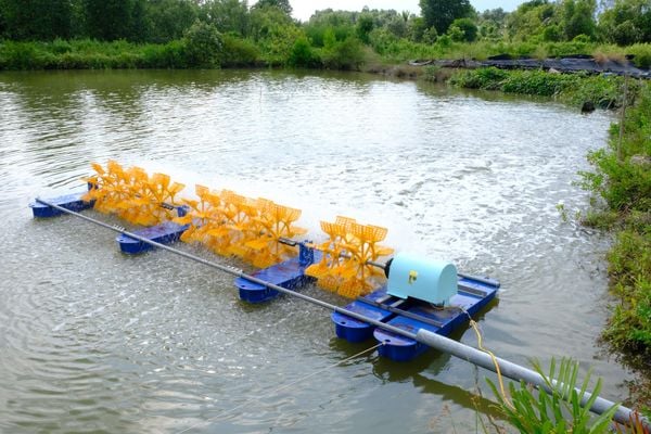 Bộ Quạt 10 Cánh 5 Phao - Tạo Dòng Chảy Mạnh Mẽ Ổn Định