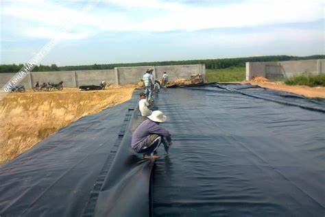  Bạt Hàn Sẵn Ao Tròn Nổi – Bạt 5zem 