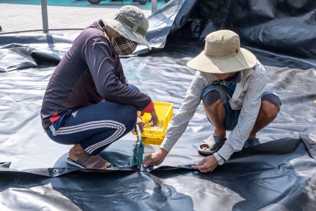 Bạt Hàn Sẵn Ao Tròn Nổi – Bạt 5zem