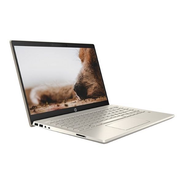 Laptop HP Pavilion 14-dv0008TU/ i5-1135G7-2.4G/ 8G/ 512G SSD/ 14 FHD/ WL+BT/ W10/ Gold