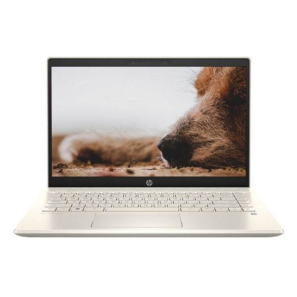 Laptop HP Pavilion 14-dv0008TU/ i5-1135G7-2.4G/ 8G/ 512G SSD/ 14 FHD/ WL+BT/ W10/ Gold