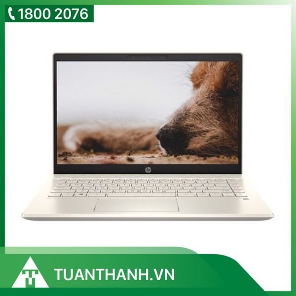 Laptop HP Pavilion 14-dv0513TU i5 46L82PA