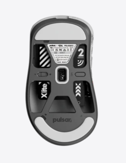Chuột quang không dây Pulsar Xlite v4 Quiccs Edition Medium-LTD 1,500