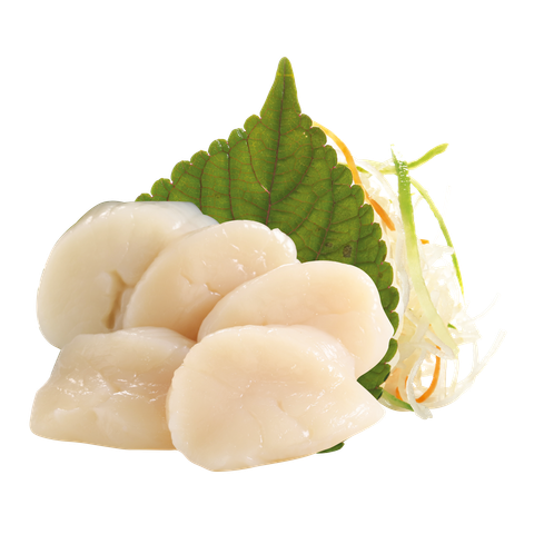  Sashimi Cồi Sò Điệp Nhật 