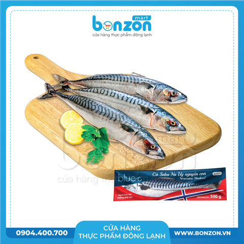 CÁ SABA NAUY NGUYÊN CON 500G