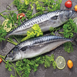 CÁ SABA NAUY NGUYÊN CON 500G