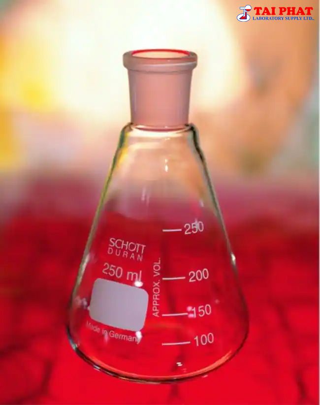 Bình Tam Giác Cổ Mài - DURAN®