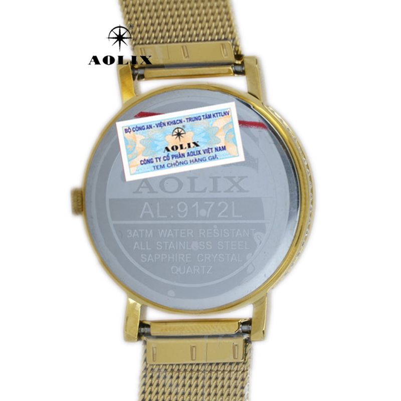 Đồng hồ Nam chính hãng Aolix AL7049G thể thao 6 kim